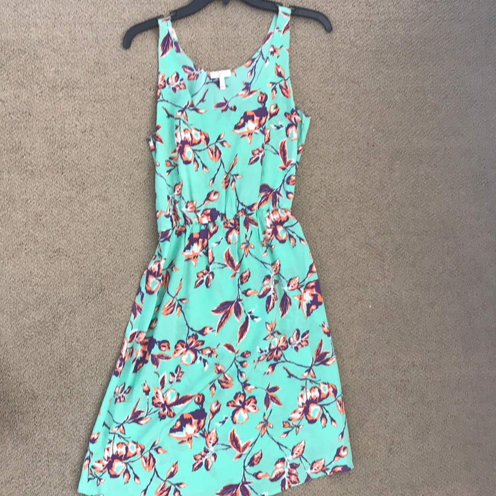 Silk joie dress